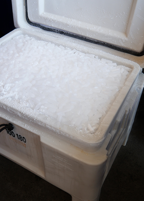 TROCKENEIS24 Sublimation Aufbewahrung